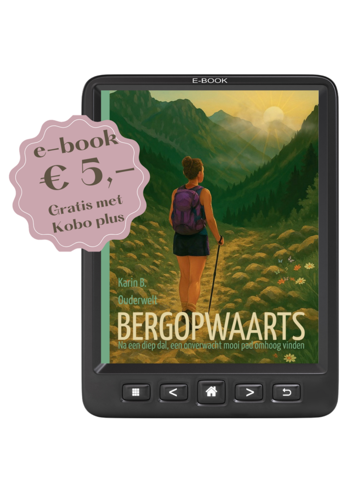 E-book Bergopwaarts